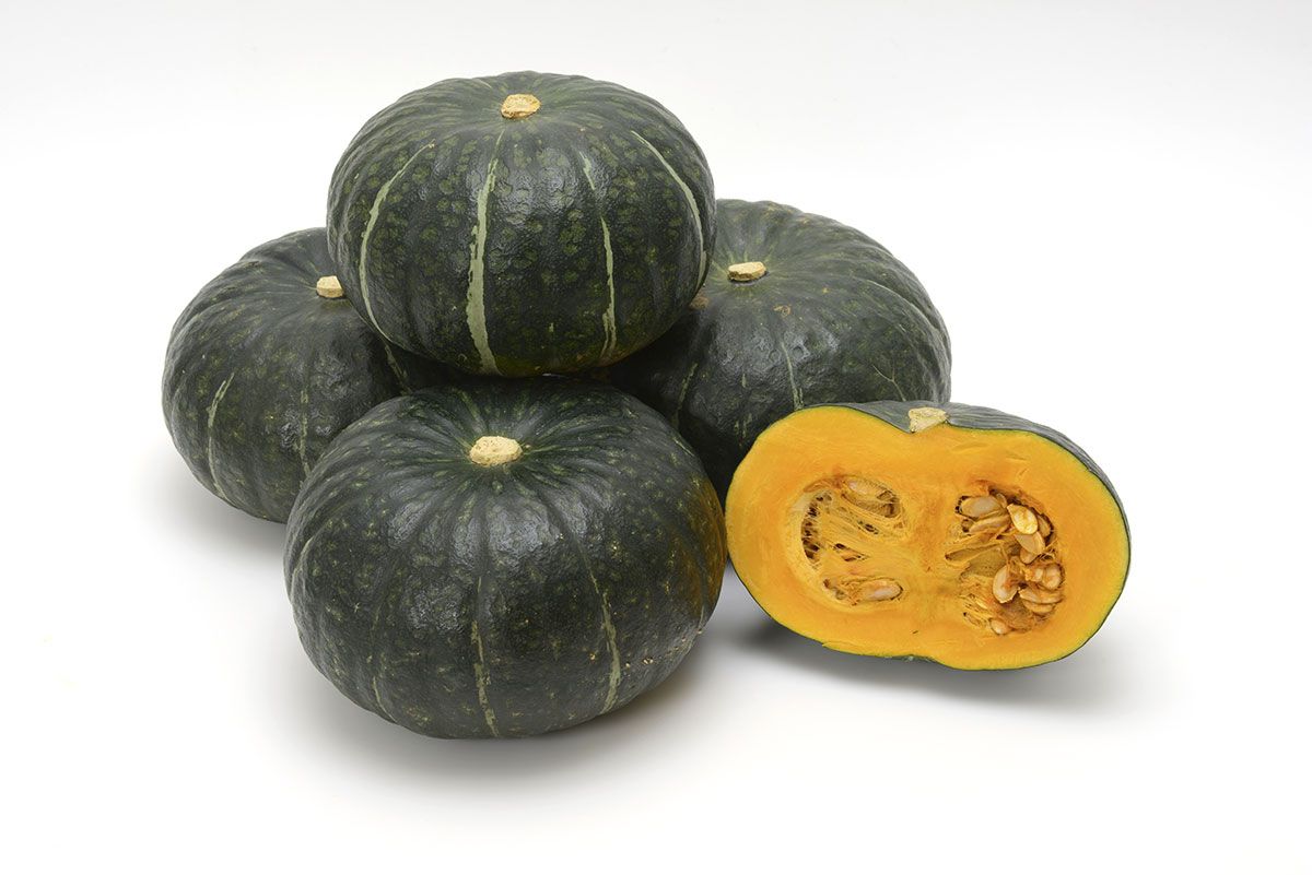 Visuel Kabocha squashes